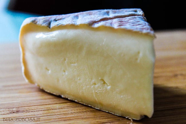 taleggio